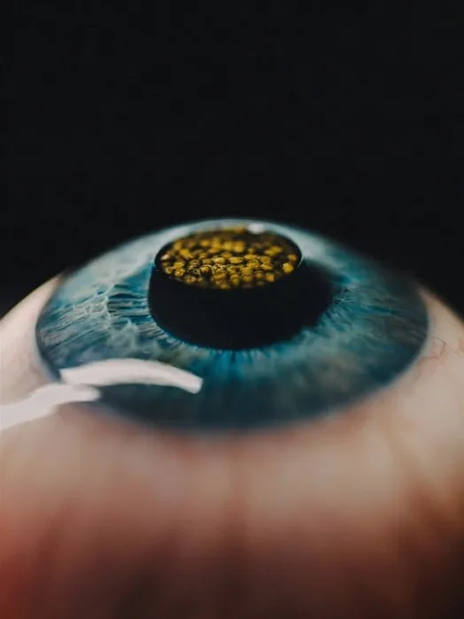 A sculptural course styled to resemble an eye