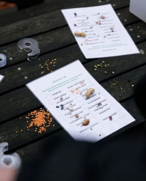 Printed cards describing the evening's seasonal ingredients